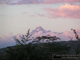 Mt. Kenya: Schneebedeckt