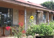 Gästehäuser in Kenia: Frontansicht mit Sonnenblume