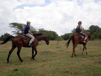 Pferdesafari: Der Pferdestall