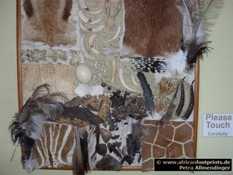 Sweetwaters: Fur, Horn & more to touch