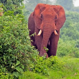 follow-our-journey-2