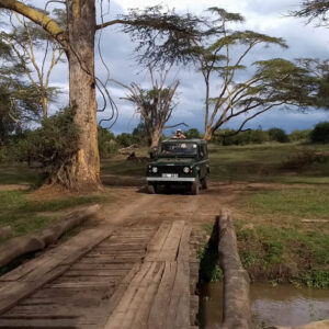 follow-our-journey-6