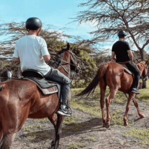 follow-our-journey-7